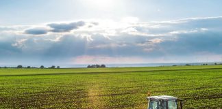 Governo dos Açores investe 387 mil euros em infraestruturas agrícolas nas ilhas de São Miguel e Terceira