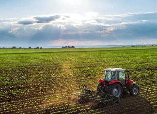 Governo dos Açores investe 387 mil euros em infraestruturas agrícolas nas ilhas de São Miguel e Terceira