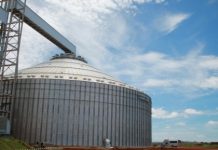 Governo dos Açores lança concursos para infraestruturas agrícolas num valor global superior a 364 mil euros