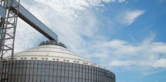 Governo dos Açores lança concursos para infraestruturas agrícolas num valor global superior a 364 mil euros