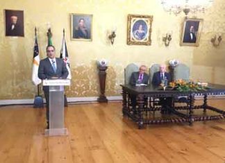 Defesa dos interesses da diáspora passa por integração e participação ativa, afirma Diretor Regional das Comunidades