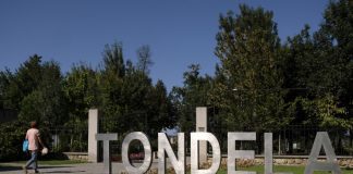 Incêndios: Arte rupestre e moinhos novamente visitáveis em Tondela