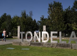 Incêndios: Arte rupestre e moinhos novamente visitáveis em Tondela