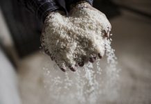 Nova rotulagem do arroz defende agricultores, industriais e consumidores, afirmam os orizicultores do Ribatejo