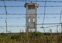Tancos: Arguido envolvido no furto de material de guerra remeteu-se hoje ao silêncio