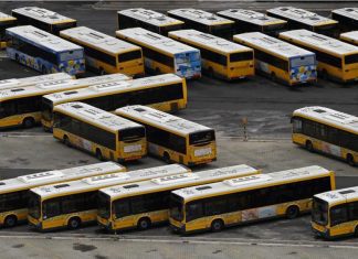 Covid-19: Transportadores pesados de passageiros alertam para “iminente rutura das empresas”