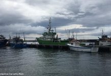 Governo dos Açores determina que embarcações de pesca da Povoação e da Ribeira Quente apenas podem descarregar na Ribeira Quente