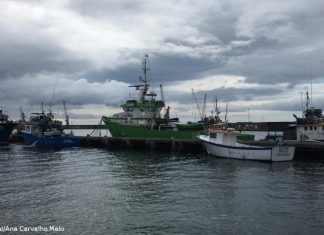 Governo dos Açores determina que embarcações de pesca da Povoação e da Ribeira Quente apenas podem descarregar na Ribeira Quente