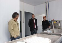 Governo dos Açores está comprometido com o investimento da primeira queijaria de Santa Maria