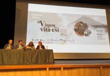Vitivinicultura é um “setor pujante e dinâmico”, com impacto económico, social e ambiental muito positivo nos Açores