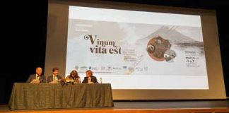 Vitivinicultura é um “setor pujante e dinâmico”, com impacto económico, social e ambiental muito positivo nos Açores