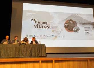 Vitivinicultura é um “setor pujante e dinâmico”, com impacto económico, social e ambiental muito positivo nos Açores