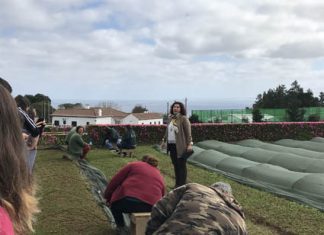 Apostar na sensibilização, informação e formação dos mais novos sobre a floresta é fundamental para o futuro