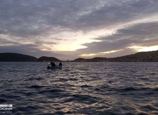 Segunda prova de Pesca Desportiva de Barco decorre na manhã de domingo