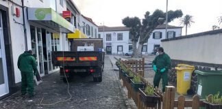 Município da Madalena Reforça Ações de Limpeza e Desinfeção do Espaço Público