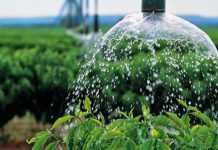 Governo dos Açores investe mais de 108 mil euros no abastecimento de água aos agricultores das Flores