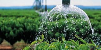 Governo dos Açores investe mais de 108 mil euros no abastecimento de água aos agricultores das Flores