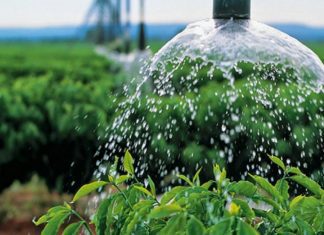 Governo dos Açores investe mais de 108 mil euros no abastecimento de água aos agricultores das Flores