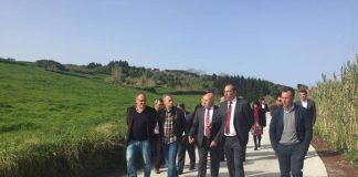 6 ME investidos em infraestruturas agrícolas no Faial na atual legislatura