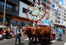 Ponta Delgada cancela festas do Espírito Santo e dos 474 anos da cidade