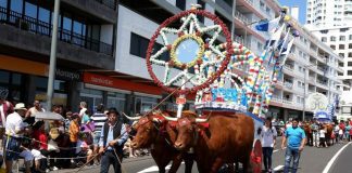 Ponta Delgada cancela festas do Espírito Santo e dos 474 anos da cidade