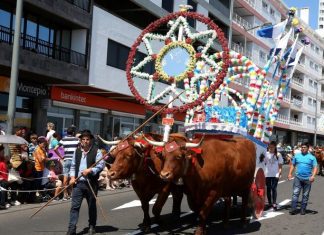 Ponta Delgada cancela festas do Espírito Santo e dos 474 anos da cidade