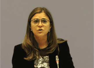Graça Silveira questiona ligações às Flores e horários da operação de verão