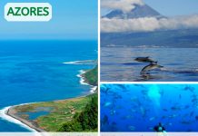 Sustainable Destination Awards – Arquipélago dos Açores recebe galardão na categoria “Best of Nature”