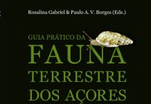 Lançamento do “Guia Prático da Fauna Terrestre dos Açores” 17 de março, pelas 18h30, na galeria do IAC