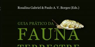 Lançamento do “Guia Prático da Fauna Terrestre dos Açores” 17 de março, pelas 18h30, na galeria do IAC