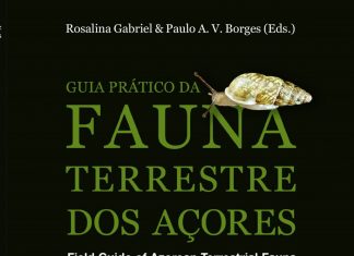 Lançamento do “Guia Prático da Fauna Terrestre dos Açores” 17 de março, pelas 18h30, na galeria do IAC