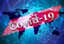 Autoridade de Saúde Regional – Diagnosticados 28 novos casos positivos de COVID-19 na Região, sendo 24 em S. Miguel e 4 na Terceira DR