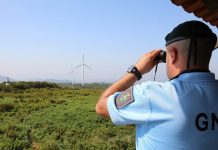 Operação Floresta Segura 2020
