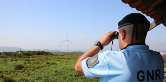 Operação Floresta Segura 2020