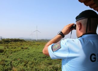 Operação Floresta Segura 2020
