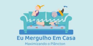 Um mergulho por dia, não sabem o bem que vos fazia!