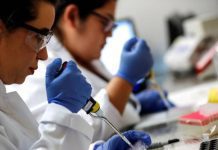 Universidade de Coimbra lança plataforma que reúne investigação sobre a pandemia