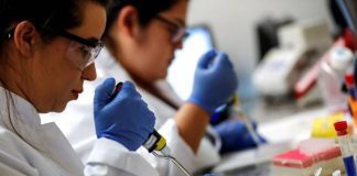 Universidade de Coimbra lança plataforma que reúne investigação sobre a pandemia