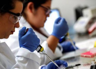 Universidade de Coimbra lança plataforma que reúne investigação sobre a pandemia