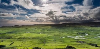 Governo dos Açores lança concurso para beneficiação de caminho agrícola em São Jorge