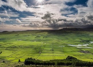 Governo dos Açores lança concurso para beneficiação de caminho agrícola em São Jorge