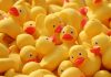 Este pato de borracha é perigoso. Direção do Consumidor manda retirar brinquedo para banho vendido online