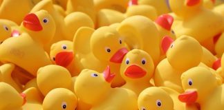 Este pato de borracha é perigoso. Direção do Consumidor manda retirar brinquedo para banho vendido online