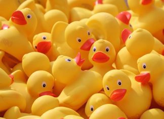 Este pato de borracha é perigoso. Direção do Consumidor manda retirar brinquedo para banho vendido online