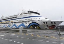 Covid-19: Autoridades acompanham 10 portugueses em navio de cruzeiro nos Estados Unidos