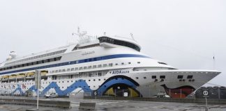 Covid-19: Autoridades acompanham 10 portugueses em navio de cruzeiro nos Estados Unidos
