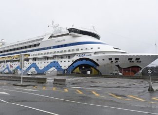 Covid-19: Autoridades acompanham 10 portugueses em navio de cruzeiro nos Estados Unidos