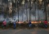CSM e Ordem dos Advogados desfavoráveis a projeto do Chega sobre incendiários