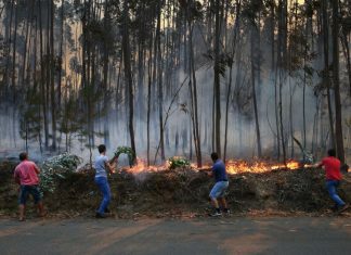 CSM e Ordem dos Advogados desfavoráveis a projeto do Chega sobre incendiários