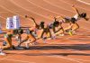 Atletismo recebe apoio superior a 98 mil euros em 2020